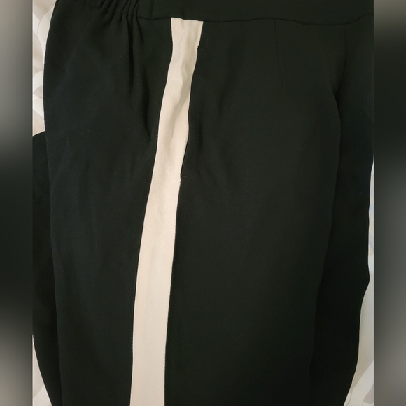 Babaton pants - Picture 3 of 6